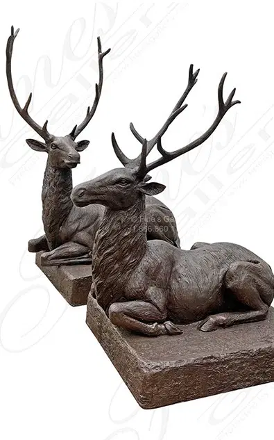 deer website 2.webp